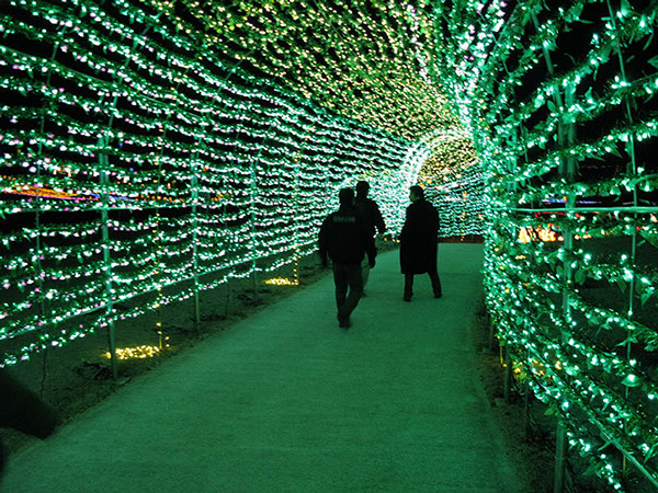 ドイツ村　イルミネーション